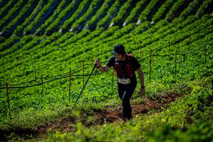 BIB: 1905
                            <button type="button" onclick="openModal(19160960)" class="btn btn-primary btn-sm float-right btn-popup" data-toggle="modal" data-target=".modal-high-quality">
                        <i class="fas fa-shopping-cart"></i> Add to Cart
                    </button>
                                            <button type="button" onclick="isThisMe(19160960, true)" class="btn btn-success btn-sm float-right btn-popup btn-isme hidden" data-toggle="tooltip" data-placement="bottom" title="นี่คือรูปของคุณใช่ไหม คลิกที่นี่เพื่อเอาเข้าอัลบั้ม">
                        <i class="fas fa-plus"></i> Add to album
                    </button>
                    <button type="button" onclick="isThisMe(19160960, false)" class="btn btn-warning btn-sm float-right btn-popup btn-isnotme hidden">
                        <i class="fas fa-ban"></i> Remove from album
                    </button>